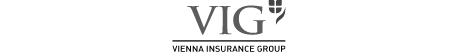 VIG Vienna Insurance Group