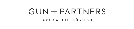12 gunpluspartners logo